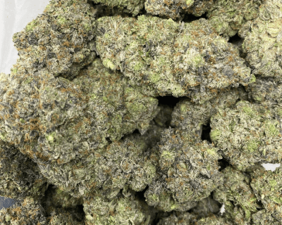 PINK PUSSY (MEGA GAS) - Image 3