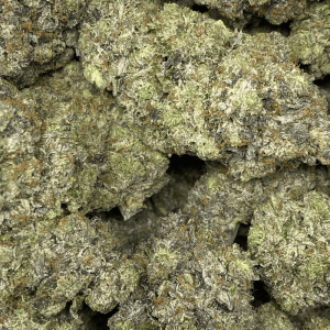 PINK PUSSY (MEGA GAS) - Image 2