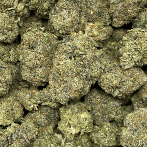PINK ROCKSTAR (MEGA GAS) - Image 2