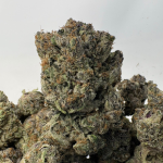 PRIMO PINK (BIGS) - QUAD GAS