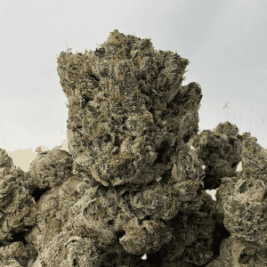 PRIMO PINK (BIGS) - QUAD GAS