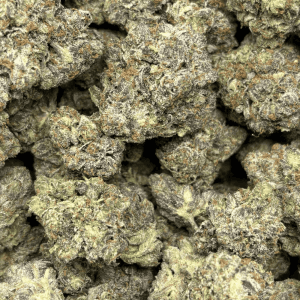 PRIMO PINK (BIGS) - QUAD GAS - Image 2