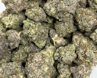 PRIMO PINK (BIGS) - QUAD GAS - Image 3