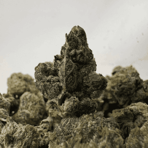 PRIMO PINK (SMALLS) - QUAD GAS