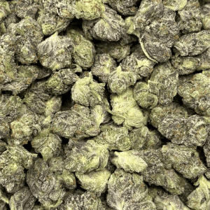 PRIMO PINK (SMALLS) - QUAD GAS - Image 2