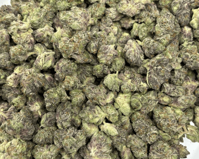 PRIMO PINK (SMALLS) - QUAD GAS - Image 3