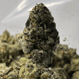 ROCKET FUEL OG (SMALLS) (QUAD GAS)