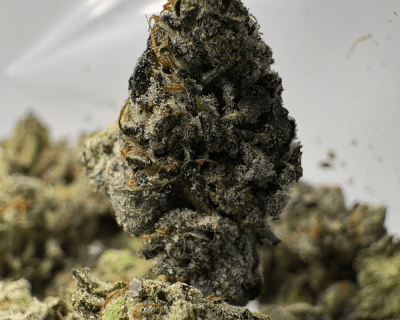 ROCKET FUEL OG (SMALLS) (QUAD GAS)