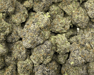 RUTHLESS PINK (MEGA GAS) - Image 3