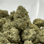 SHERBERT (SMALLS) (TRIP EXOTICS)