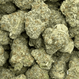 SHERBERT (SMALLS) - TRIP EXOTICS - Image 2