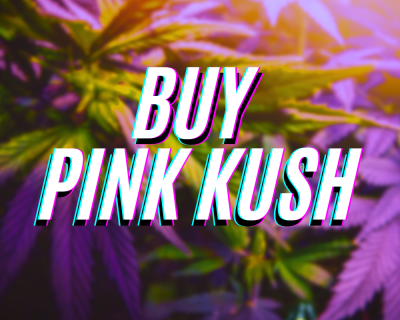 Buy Pink Kush Online