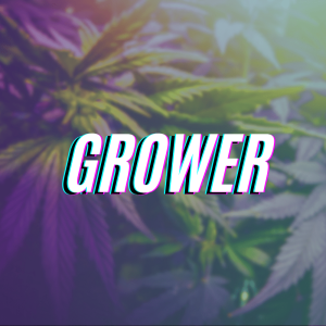 Shop By Grower