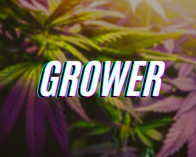 Shop By Grower