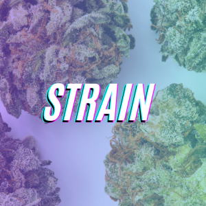 Shop By Strain Type
