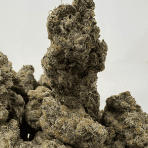 SNOWMAN (BIGS) (CRAFT EXOTICS)