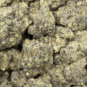 SNOWMAN (BIGS) - QUAD EXOTICS - Image 2