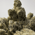 SNOWMAN (SMALLS) (CRAFT EXOTICS)