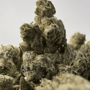 SNOWMAN (SMALLS) (CRAFT EXOTICS)