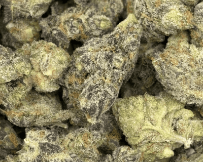 SNOWMAN (SMALLS) - QUAD EXOTICS - Image 3