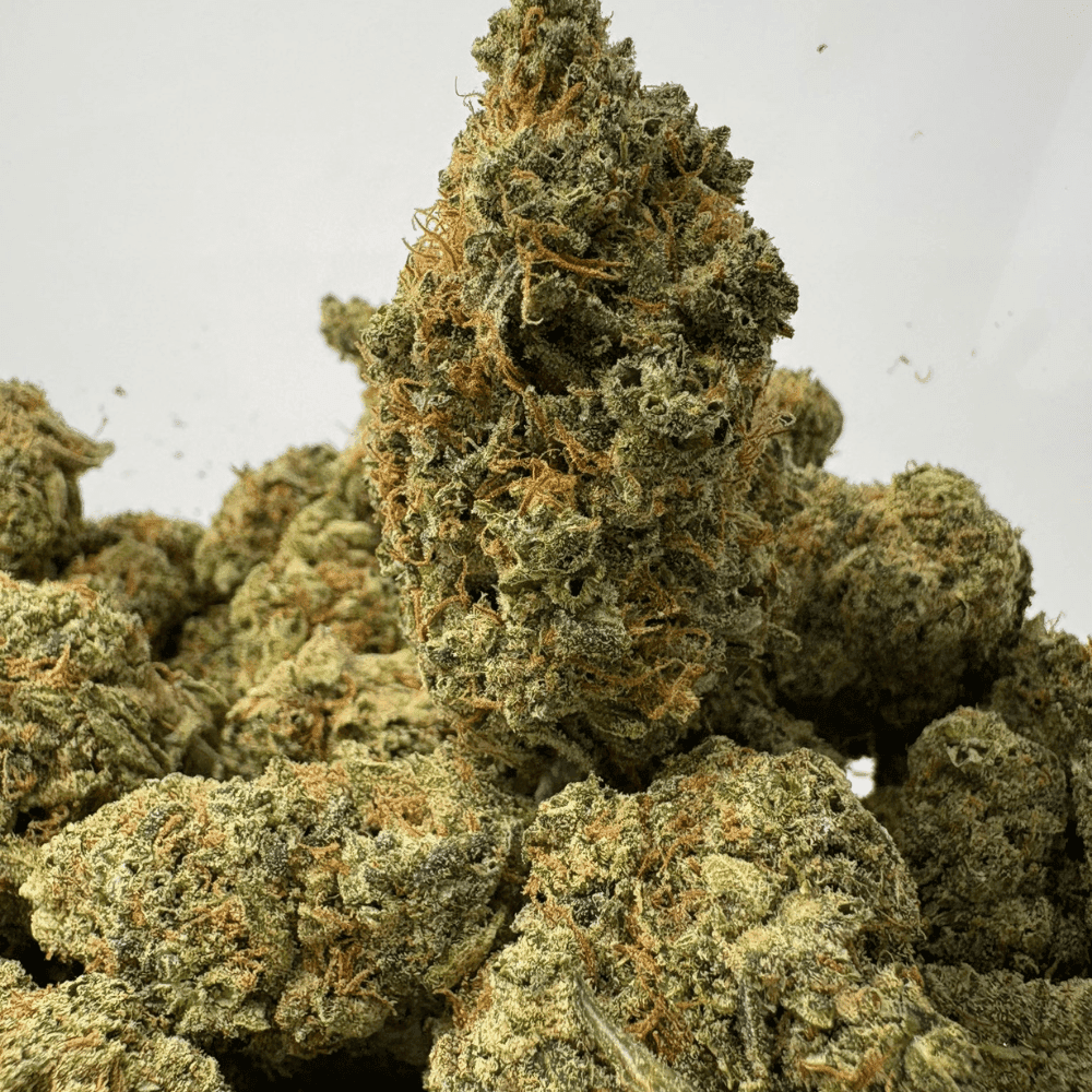 SUPER LEMON HAZE (BIGS) (SATIVA)