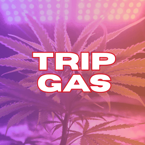 Trip Gas