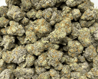 TROPICAL CHERRY PIE (SMALLS) - QUAD EXOTICS - Image 3