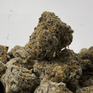 TROPICAL CHERRY PIE (SMALLS) (CRAFT EXOTICS)