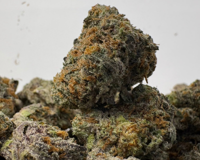 TROPICAL CHERRY PIE (SMALLS) (CRAFT EXOTICS)