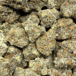 TROPICAL CHERRY PIE (BIGS) - QUAD EXOTICS - Image 2