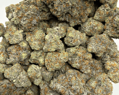 TROPICAL CHERRY PIE (BIGS) - CRAFT EXOTICS - Image 3