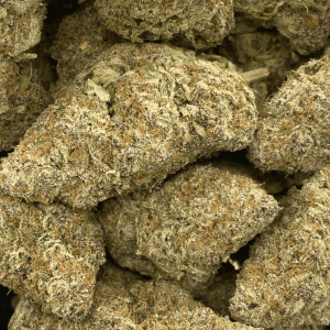 TROPICANA (EXOTIC) - Image 2