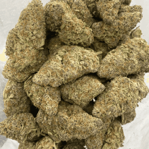 TROPICANA (EXOTIC) - Image 3