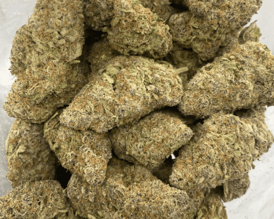 TROPICANA (EXOTIC) - Image 3