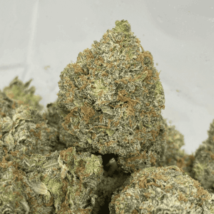 TUNA OG (MEGA GAS) - Image 1