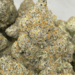 WHITE RHINO (EXOTIC)