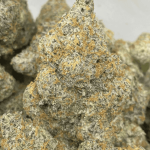 WHITE RHINO (EXOTIC)