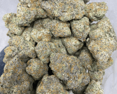 WHITE RHINO (EXOTIC) (BULK DEAL) - Image 3