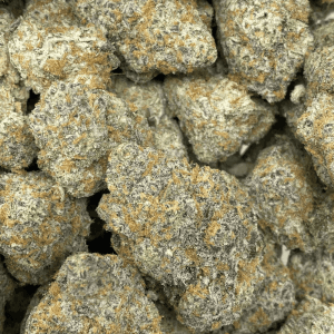 WHITE RHINO (EXOTIC) (BULK DEAL) - Image 2