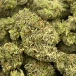 WEST COAST GAS (SMALLS )(GAS)