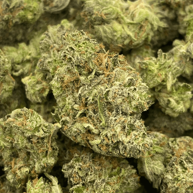 WEST COAST GAS (SMALLS )(GAS)