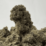 WHITE CAVIAR LSO (BIGS) (CRAFT EXOTICS)