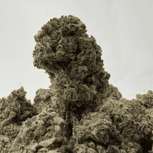 WHITE CAVIAR LSO (BIGS) (CRAFT EXOTICS)