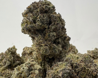 WHITE CAVIAR LSO (BIGS) (CRAFT EXOTICS)