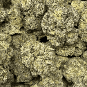 WHITE CAVIAR LSO (BIGS) - QUAD EXOTICS - Image 2