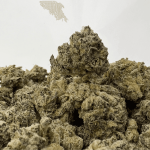 WHITE CAVIAR LSO (SMALLS) ( CRAFT EXOTICS)