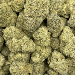 ZANGRIA (BIGS) - TRIP EXOTICS - Image 2