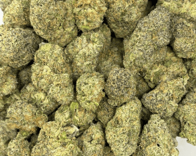 ZANGRIA (BIGS) - TRIP EXOTICS - Image 3