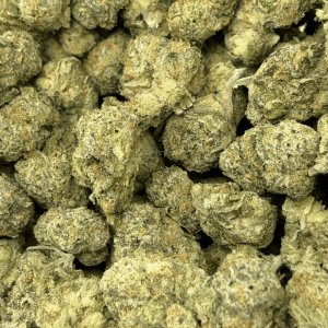 ZANGRIA (SMALLS) - TRIP EXOTICS - Image 2