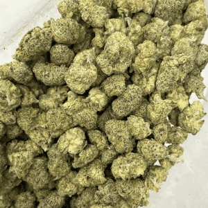 ZANGRIA (SMALLS) - TRIP EXOTICS - Image 3